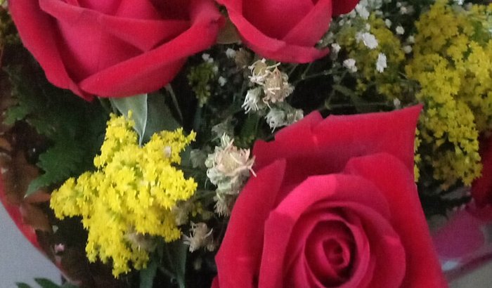 Casamento dos sonhos 