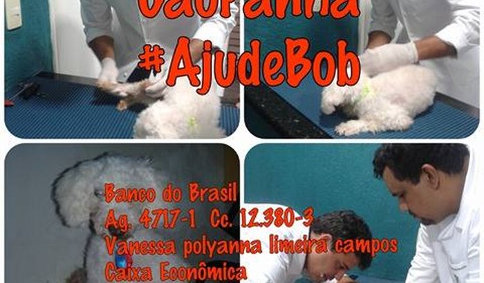 Campanha Ajude Bob 
