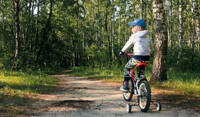 Ajude a Bernardo comprar sua primeira bicicleta