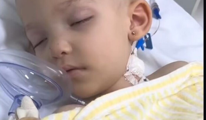 Ajude a pequena Sophia na luta contra a leucemia 🙏❤️