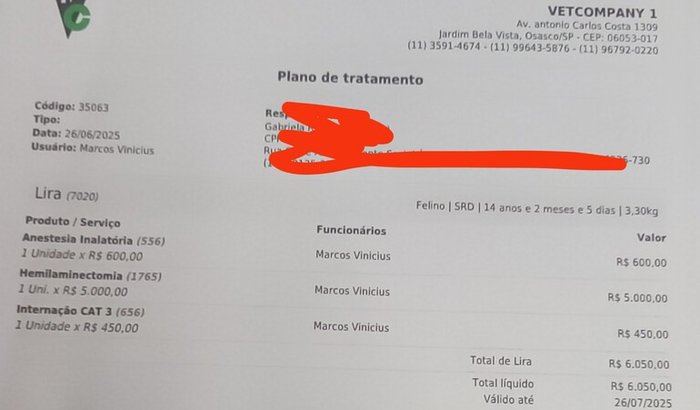 Cirurgia da Lila 