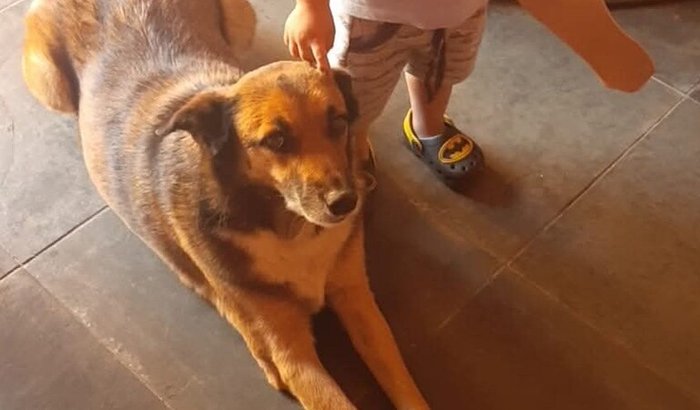 AJUDA A ESPERANÇA A VOLTAR A ANDAR
