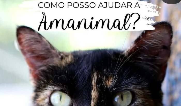 Ajuda para pagamento da clínica veterinária