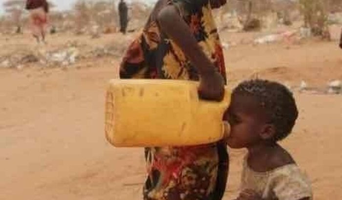 Semeando Esperança ✨