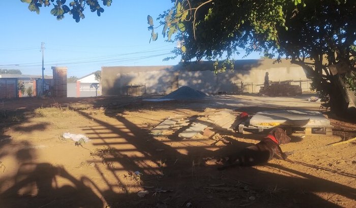 Fazer cercado pra separação de cachorro 