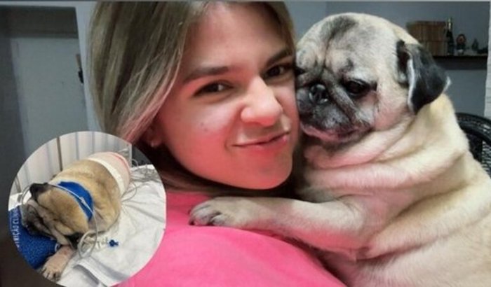 Pela vida da Filomena