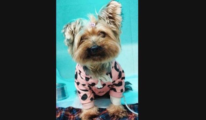 Ajude a Maria Joana a operar.