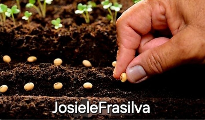 Ajude a comprar minha casinha 