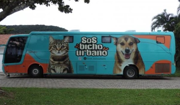 CASTRAÇÃO DE 300 ANIMAIS DE RUA