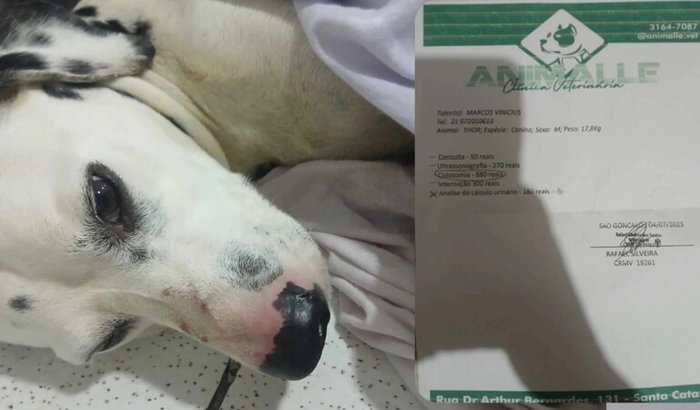 Ajuda para a cirurgia do Thor 