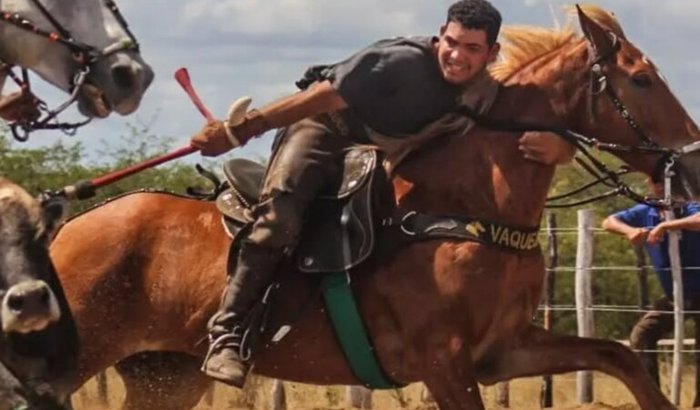 Cavalo para o Menino da Carroça