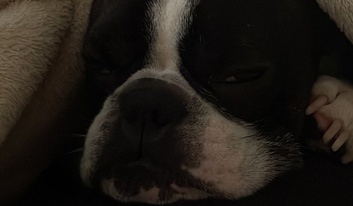 Game pass do Japa Bolt 