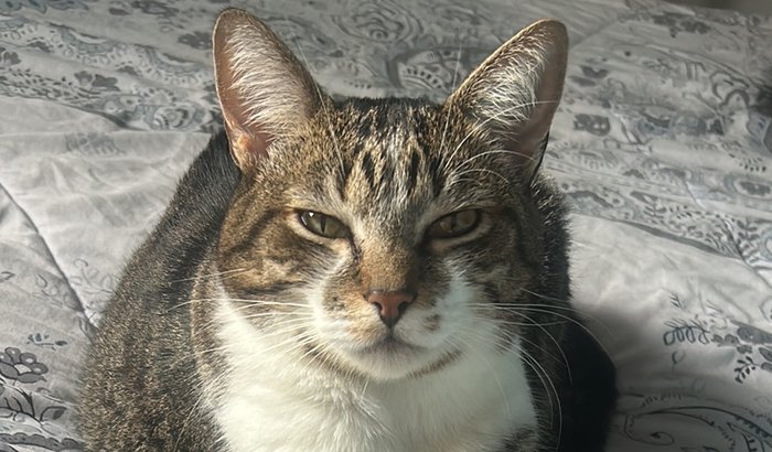 Ajude a flora ❤️