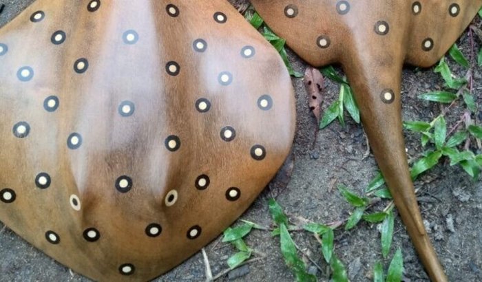 Apoio Atêlie Escola - Célio Arago