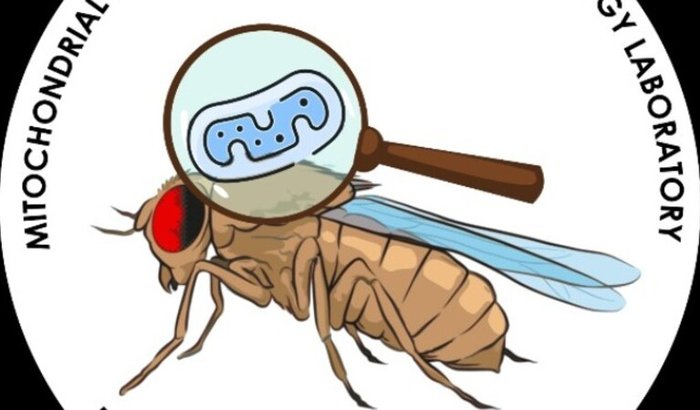 Ajude nosso grupo de pesquisa a representar o Brasil no NeuroFly 2026!