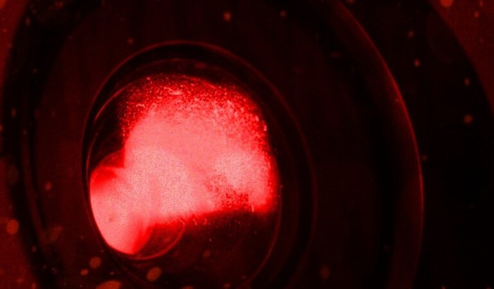 Ajude o filme Massacre à 2001