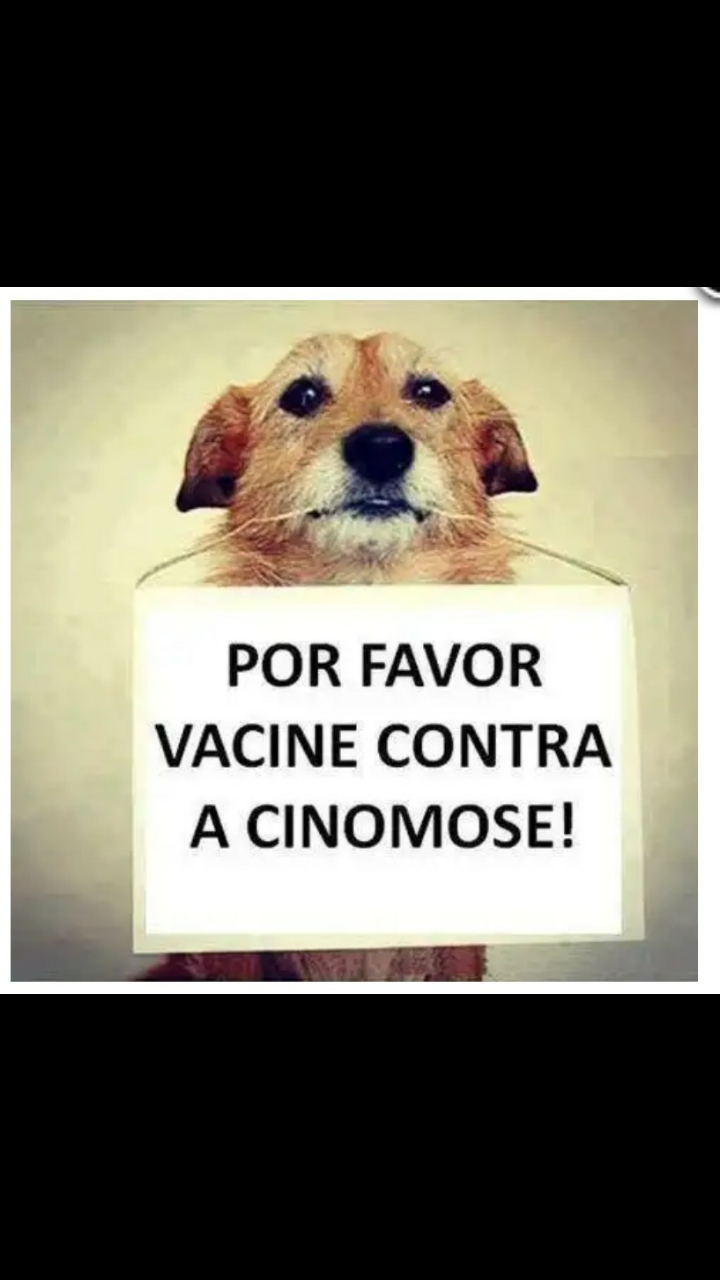 imagem da vaquinha Apadrinhe uma Vacina!