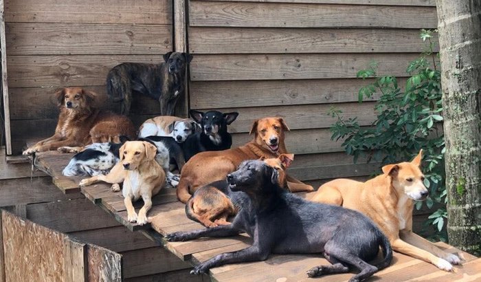 Ajuda para o custo mensal do abrigo