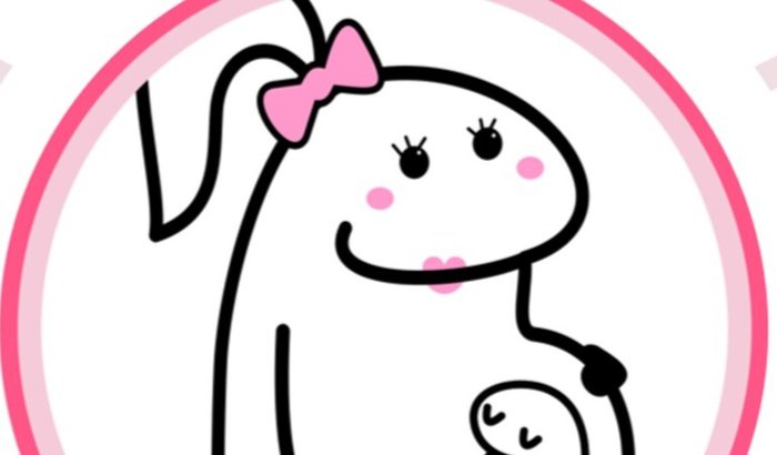 Chá de Fraldas Surpresa - Thalita e Ana Cecília