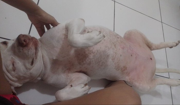 Thor quer viver