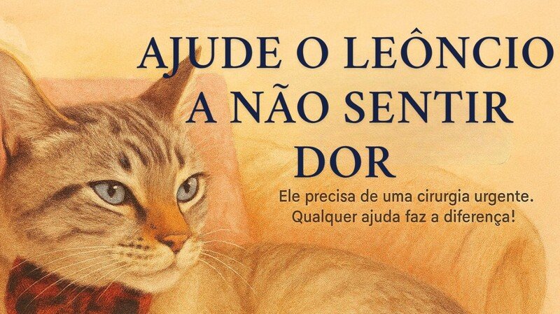 imagem da vaquinha 🐾 Ajude o Leoncio a se curar! 🐾