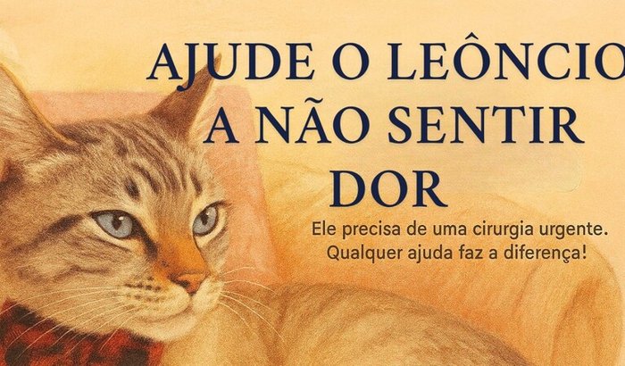🐾 Ajude o Leoncio a se curar! 🐾