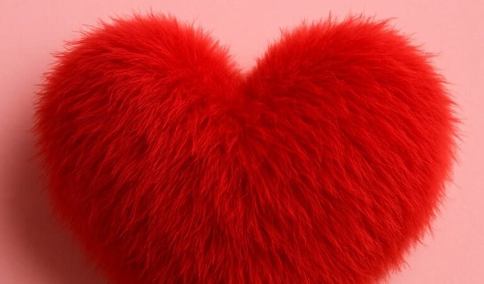 Coração Peludo