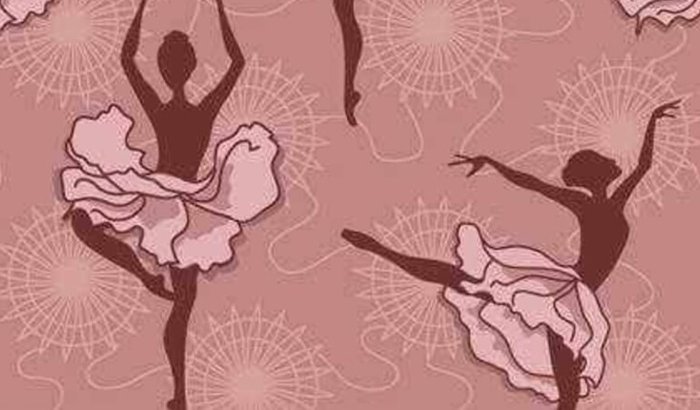 Meu primeiro festival de balé ❤️🥳🩰🚀