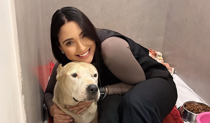 Salvando a Bella 