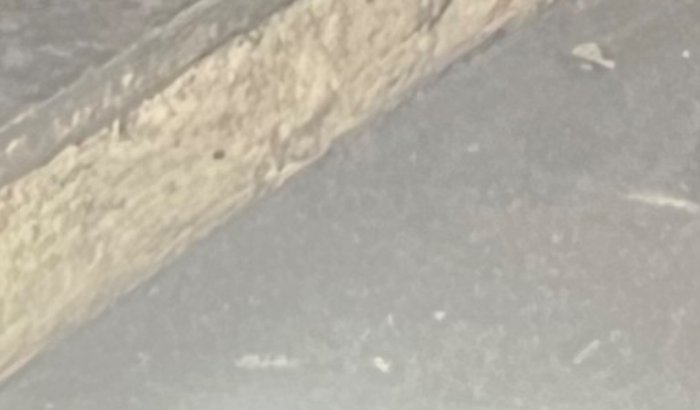 Recuperação da banca