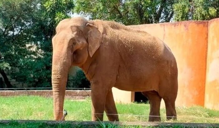 LIBERDADE PRA O SANDRO 