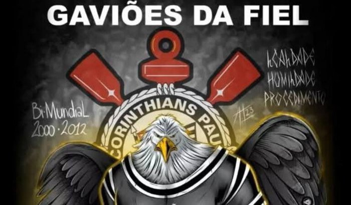 Projeto Gaviões da Fiel 7