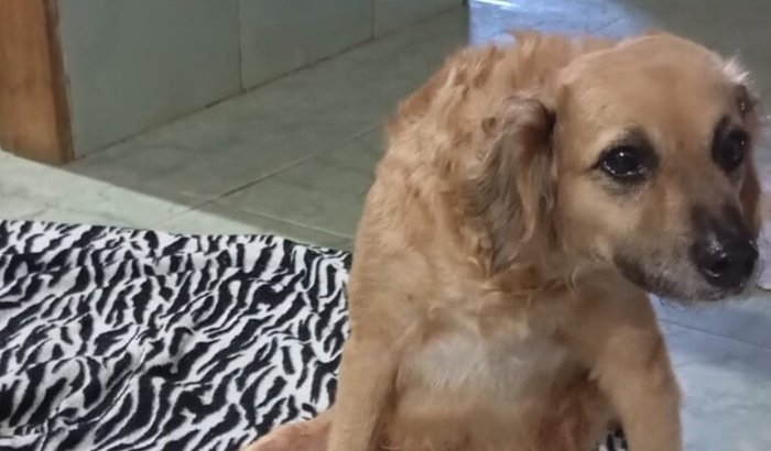 Me ajude a andar de novo!