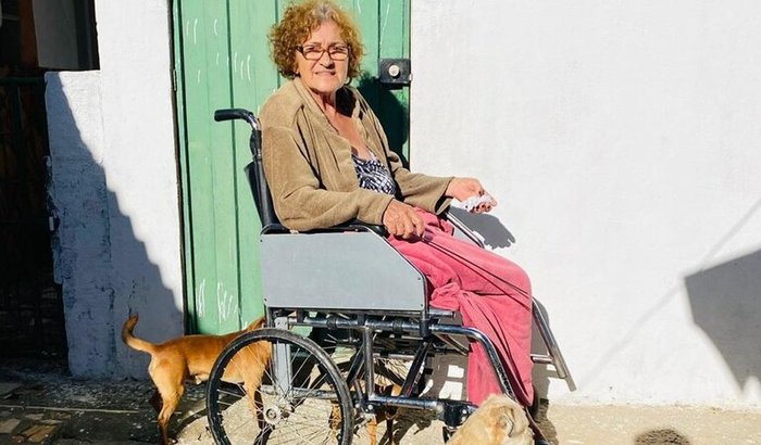 Ajude D. Ika a Voltar a Andar: Devolver a Liberdade de Quem Sempre Foi Independente