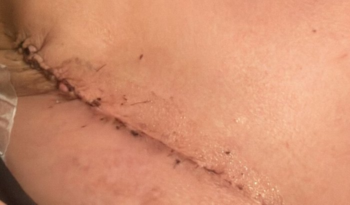 Todos com a Dani Souza