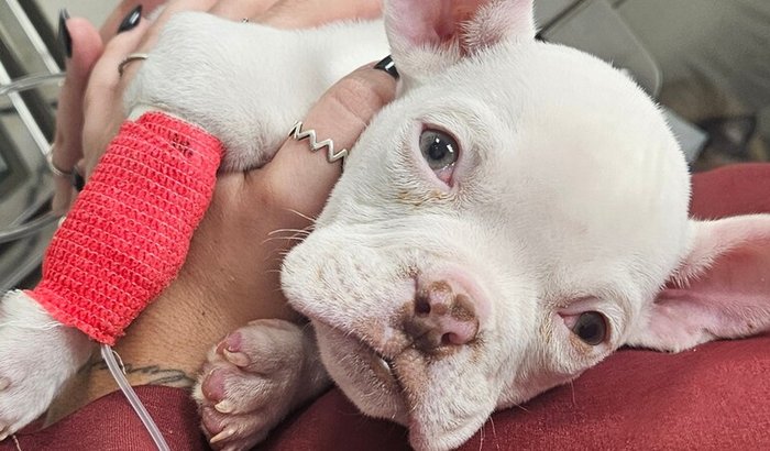 Ajuda tratamento Baruk