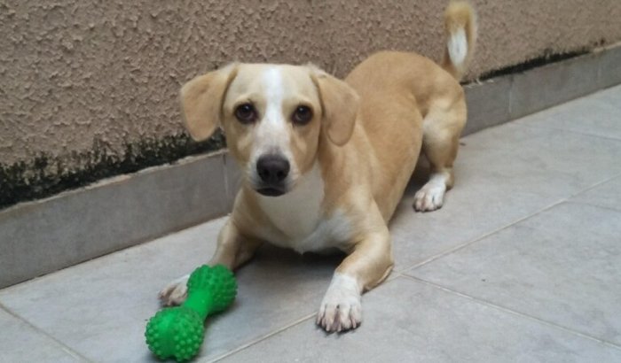 Me ajude com os gastos que tive com o Logan? 🙏🏼🩵