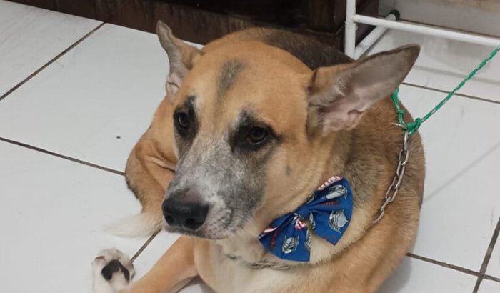 Ajuda pra o pé de pano