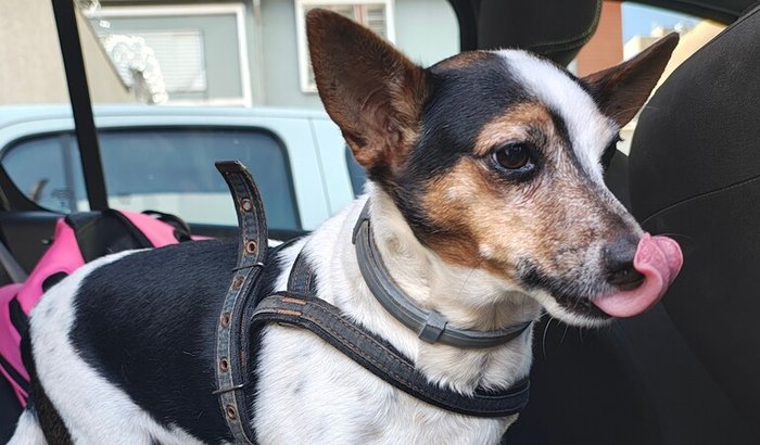 Ajude o Heman a respirar melhor