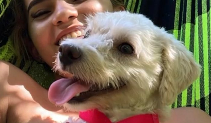 Ajude a salvar a vida da Zoey🐾