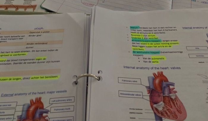 Sonho com a Medicina