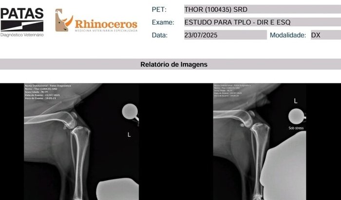 Operar Minhas Patinhas