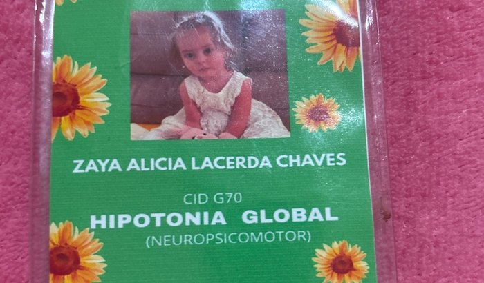 AME A CAUSA DA ZAYA ALÍCIA LACERDA