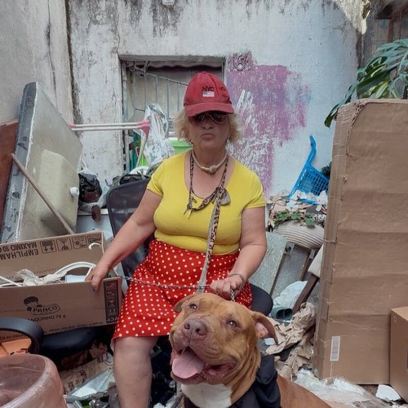 Reforma caso senhora com seu pitibul 