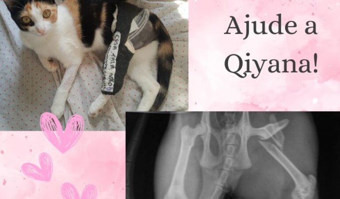 Ajuda para a cirurgia da Qiyana!