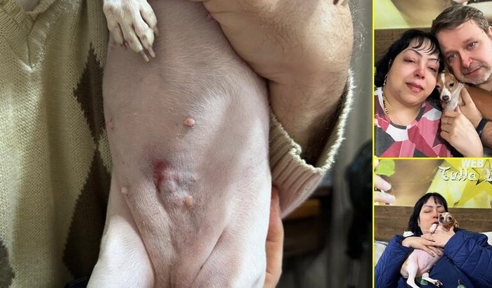 URGENTE - RETIRADA DAS MAMAS/ CARCINOMA MAMÁRIO