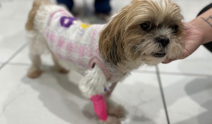 Me ajude a comprar as minhas gotinhas de cura ❤️🩹