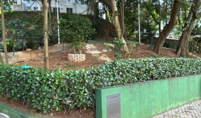 Revitalização da Praça das Artes Real Parque Melhor!