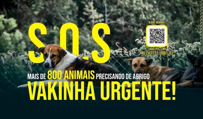 S.O.S - Obras de Emergência no Sítio do Abrigo Toda Vida Importa