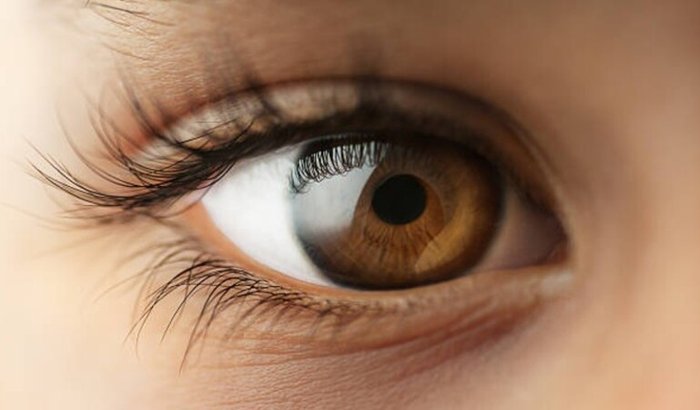 Ajude a salvar a visão da Lavinya!